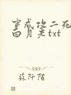 穿成攻二死了的白月光txt