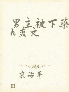 男主被下药后高h爽文