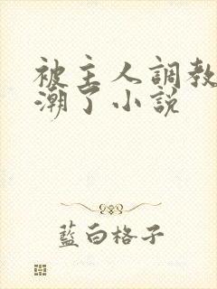 被主人调教到高潮了小说