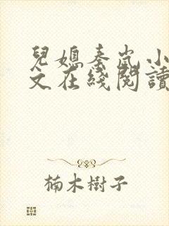 儿媳秦岚小说全文在线阅读无弹窗封面