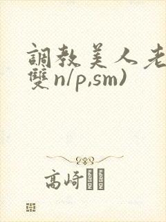 调教美人老师(双n/p,sm)