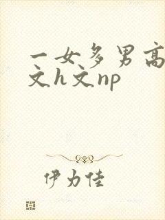 一女多男高辣h文h文np