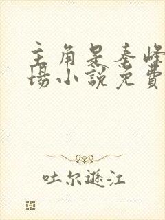 主角是秦峰的官场小说免费阅读