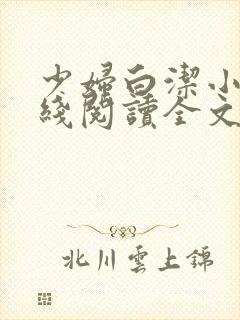 少妇白洁小说在线阅读全文封面