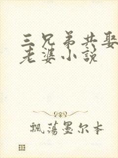 三兄弟共娶一个老婆小说