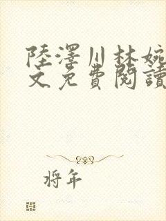 陆泽川林婉清全文免费阅读封面