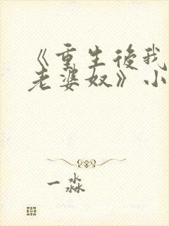 《重生后我成了老婆奴》小说