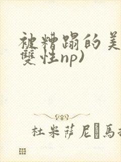 被糟蹋的美人(双性np)