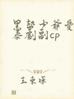 黑帮少爷爱上我泰剧副cp