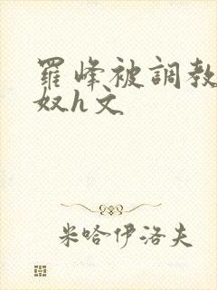 罗峰被调教成肉奴h文