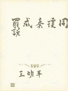 罗成秦琼同人小说封面