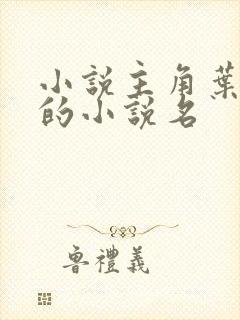 小说主角叶无道的小说名