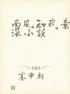 南风知我意傅云深小说