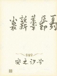 小说叶辰夏若雪最新章节列表最