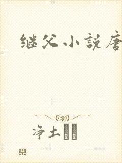 继父小说唐舒封面