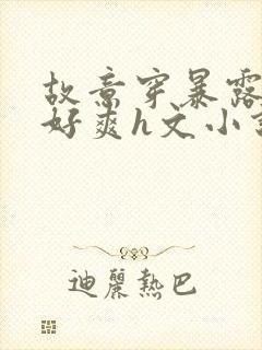 故意穿暴露被强好爽h文小说封面