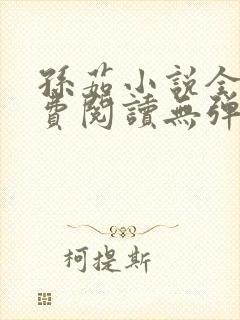 孙茹小说全文免费阅读无弹窗