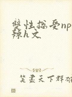 双性总受np高辣h文