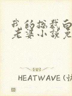 我的总裁白富美老婆小说免费