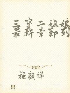 三宝二姐娘小说最新章节列表封面