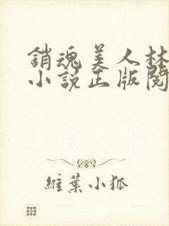 销魂美人林婷婉小说正版阅读封面