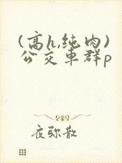 (高h,纯肉)公交车群p封面