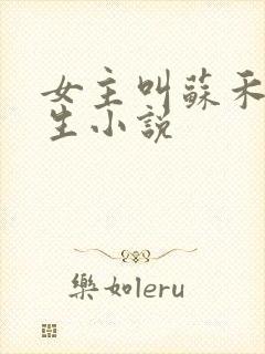 女主叫苏禾的重生小说