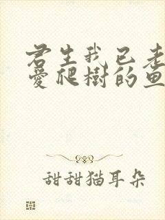 君生我已老by爱爬树的鱼封面