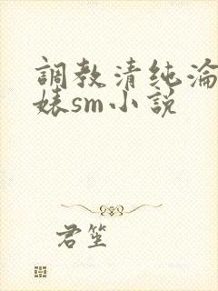 调教清纯沦为贱婊sm小说封面