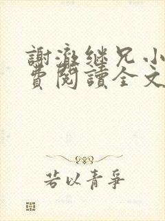 谢澈继兄小说免费阅读全文无弹窗封面