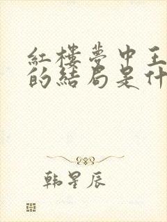 红楼梦中王夫人的结局是什么封面