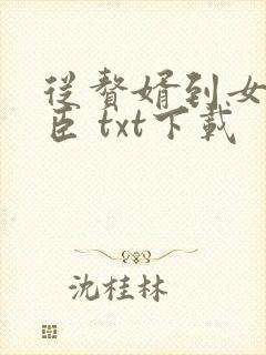 从赘婿到女帝宠臣 txt下载