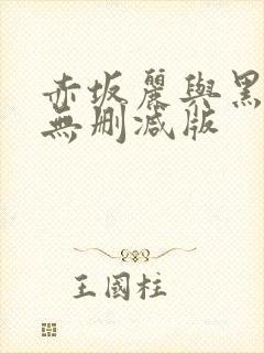 赤坂丽与黑人的无删减版