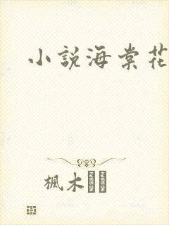 小说海棠花未眠封面