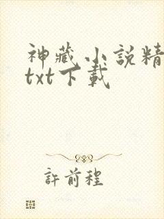 神藏小说精校版txt下载
