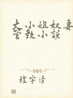 大小姐奴妻不服管教小说
