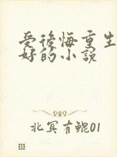 受后悔重生对攻好的小说