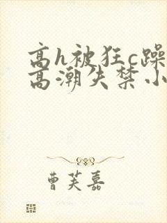 高h被狂c躁到高潮失禁小说