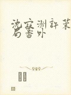 沈寂洲许茉大结局番外