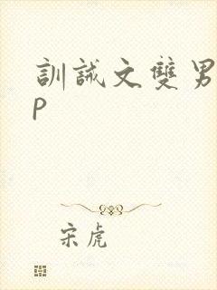 训诫文双男主sp封面