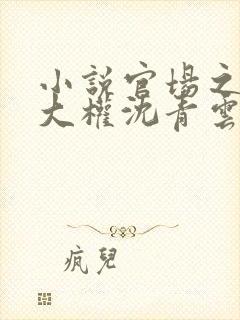 小说官场之绝对大权沈青云