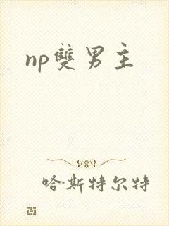 np双男主