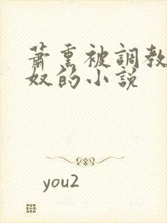 萧熏被调教成肉奴的小说封面