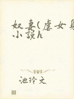 奴妻(虐女身)小说h