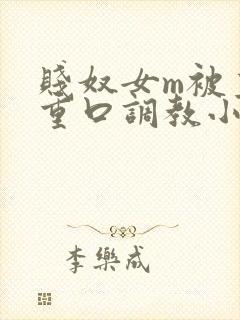 贱奴女m被主人重口调教小说封面