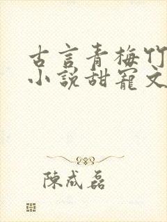 古言青梅竹马的小说甜宠文