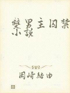 双男主囚禁高h小说