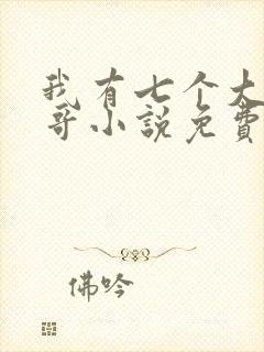我有七个大佬哥哥小说免费阅读无弹窗