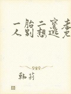 一胎二宝老婆大人别想逃免费阅读