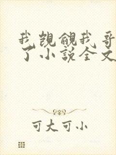 我觊觎我哥很久了小说全文封面